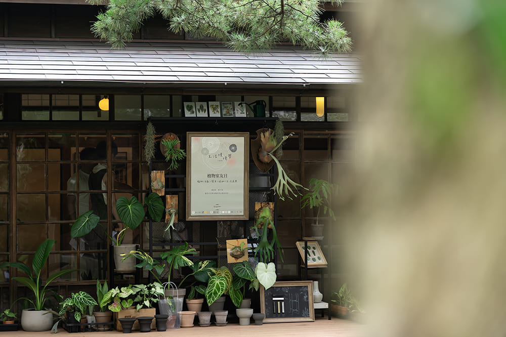 走進老屋的第一站是由植栽品牌「品日子STUDIO」陳列各式觀葉植物、鹿角蕨，為百年老宅妝點上充滿生命力的夏日氣息。